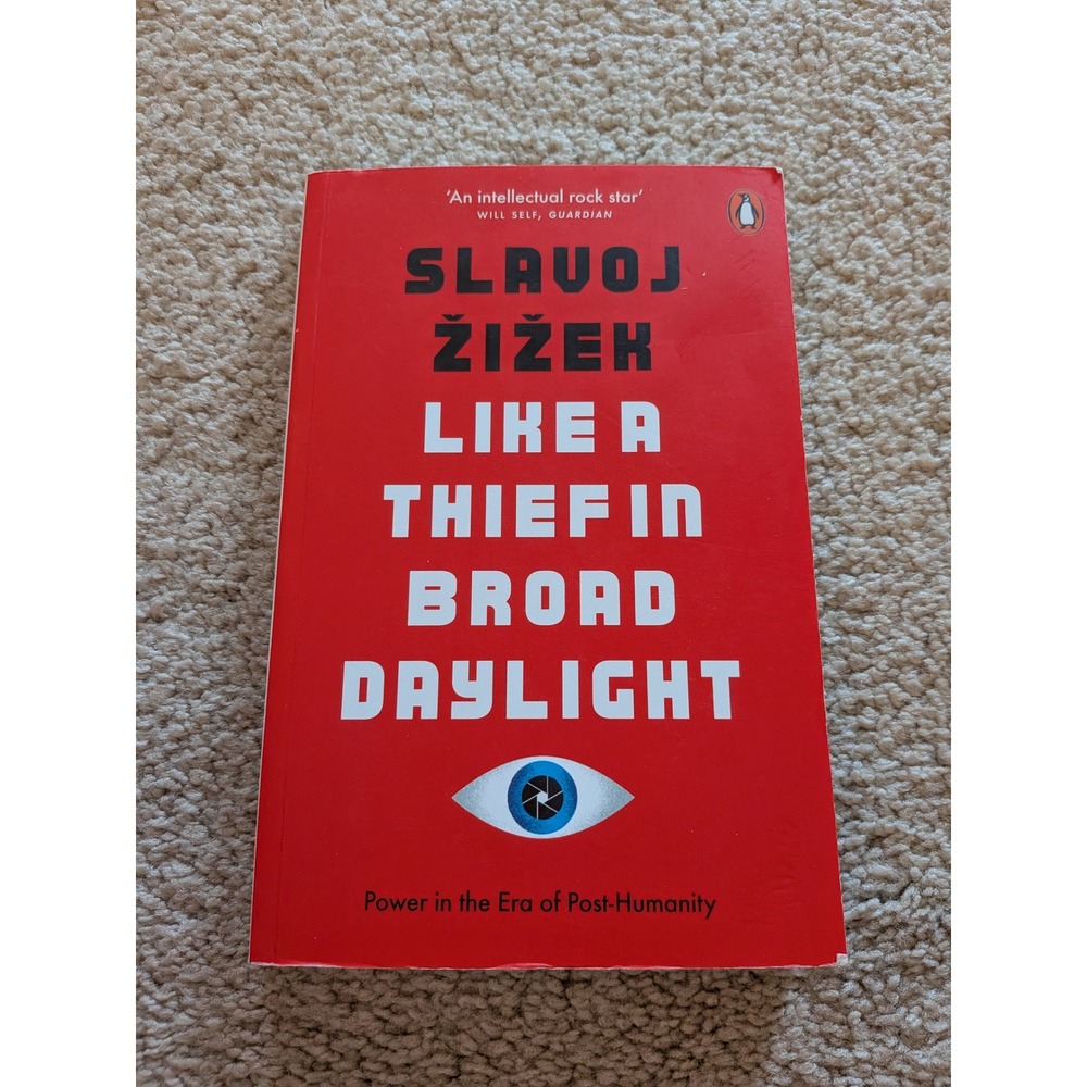 Like a Thief in Broad Daylight Slavoj Zizek 2019 Paperback